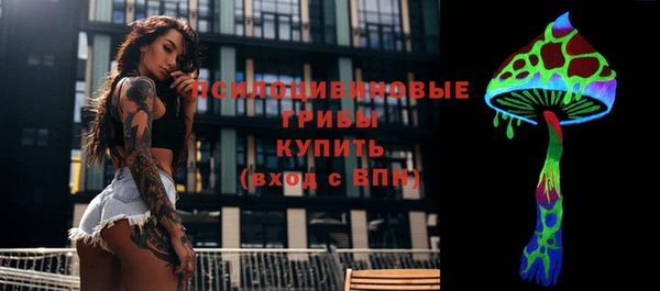 ГАЛЛЮЦИНОГЕННЫЕ ГРИБЫ Алзамай