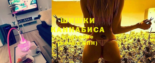 ГАЛЛЮЦИНОГЕННЫЕ ГРИБЫ Алзамай