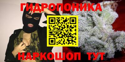 скорость Долгопрудный
