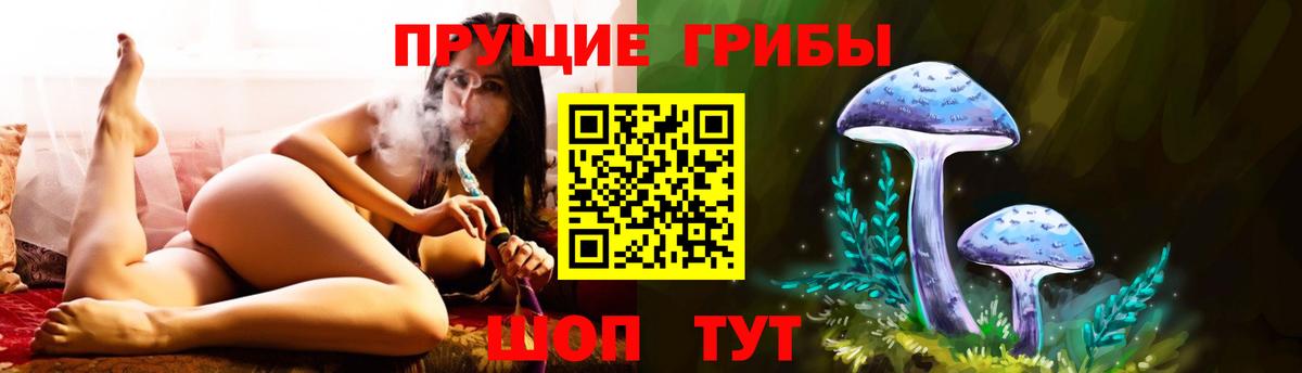 Псилоцибиновые грибы мицелий Белгород