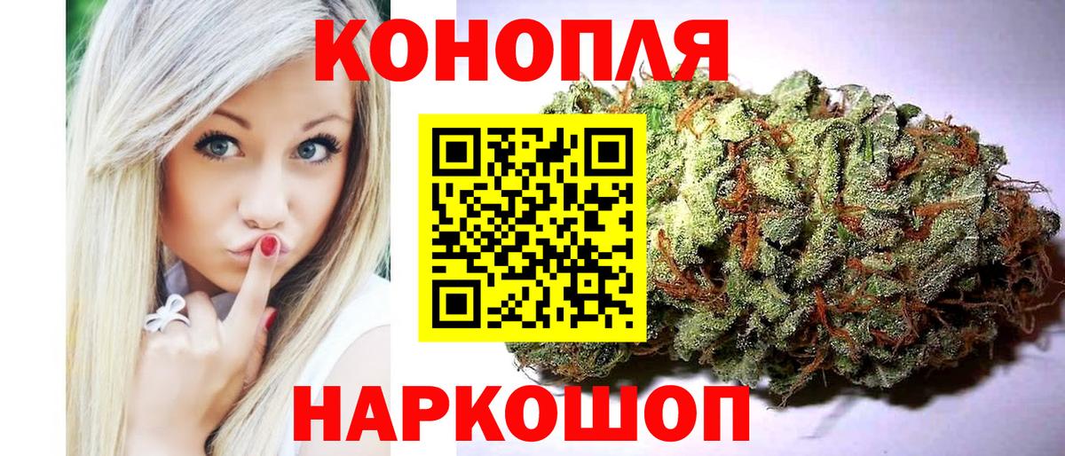 Конопля план  Вход с VPN  Белгород  Канабис THC 21%  Бошки марихуана White Widow  МАРИХУАНА тримм 